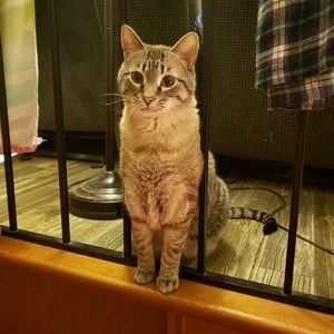 Meet your Posher, Patricia